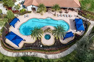 20173 Umbria Hill Dr, Tampa, FL 33647 - Photo 53