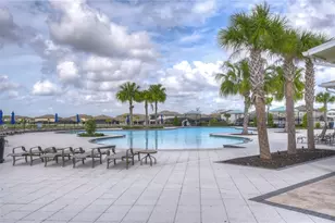 10914 Green Harvest Dr., Riverview, FL 33578 - Photo 53