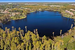 17301 Ladera Estates Blvd, Lutz, FL 33548 - Photo 97