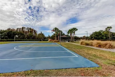 6019 Cape Loop, Land O Lakes, FL 34639 - Photo 63