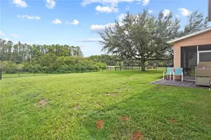 6019 Cape Loop, Land O Lakes, FL 34639 - Photo 45