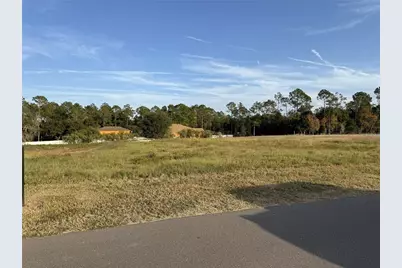 14950 Mim Place, Dade City, FL 33525 - Photo 1