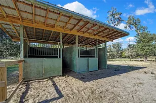 11419 Old Crystal River Rd, Brooksville, FL 34601 - Photo 17