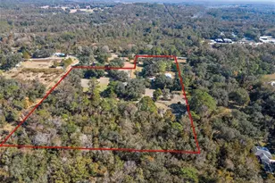 11419 Old Crystal River Rd, Brooksville, FL 34601 - Photo 87