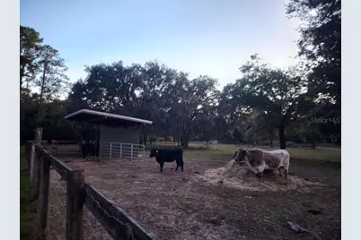 11419 Old Crystal River Road, Brooksville, FL 34601 - Photo 49