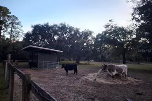 11419 Old Crystal River Rd, Brooksville, FL 34601 - Photo 49