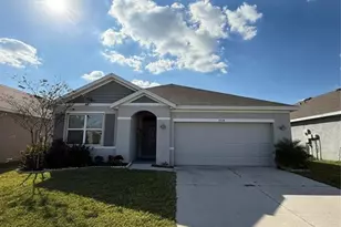 33318 Hamilton Hl Ln, Wesley Chapel, FL 33545 - Photo 1