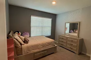 33318 Hamilton Hl Ln, Wesley Chapel, FL 33545 - Photo 13