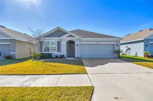 33318 Hamilton Hl Ln, Wesley Chapel, FL 33545 - Photo 1
