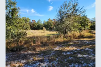 13022 E Shawnee Trail, Inverness, FL 34450 - Photo 39