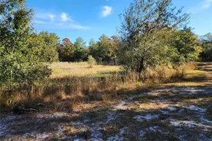 13022 E Shawnee Trail, Inverness, FL 34450 - Photo 39