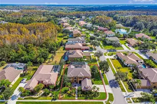 3800 Ivydale Ct, Land O Lakes, FL 34638 - Photo 67