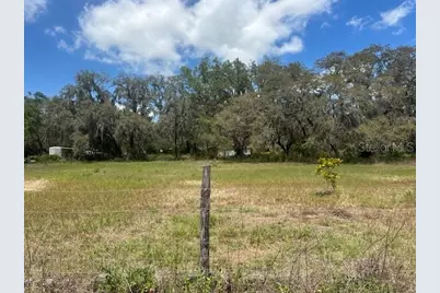 29707 Cooper Road, Wesley Chapel, FL 33545 - Photo 5