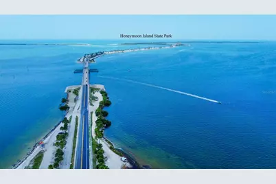 1433 Ruth Road, Dunedin, FL 34698 - Photo 35