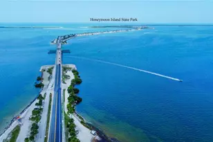 1433 Ruth Rd, Dunedin, FL 34698 - Photo 35