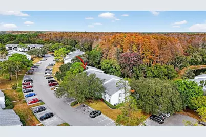 1258 Pine Ridge Circle W #D1, Tarpon Springs, FL 34688 - Photo 31