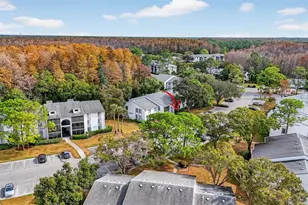 1258 Pine Ridge Cir W, Tarpon Springs, FL 34688 - Photo 37