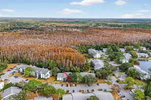 1258 Pine Ridge Cir W, Tarpon Springs, FL 34688 - Photo 39