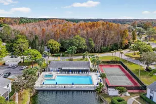 1258 Pine Ridge Cir W, Tarpon Springs, FL 34688 - Photo 29