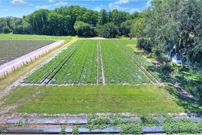 5625 Stafford Road, Plant City, FL 33565 - Photo 11