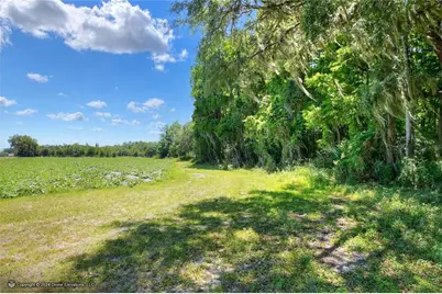 5625 Stafford Road, Plant City, FL 33565 - Photo 21