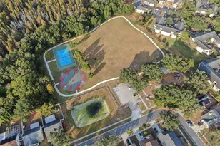 10838 Peppersong Dr, Riverview, FL 33578 - Photo 27