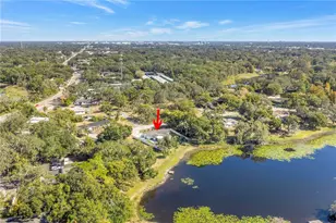 13216 Forest Hills Dr, Tampa, FL 33612 - Photo 61