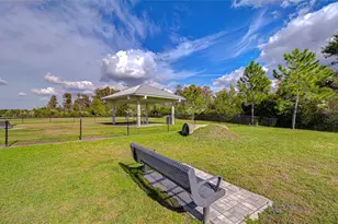 10497 Heron Hideaway Loop, Land O Lakes, FL 34638 - Photo 39