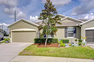 10497 Heron Hideaway Loop, Land O Lakes, FL 34638 - Photo 1