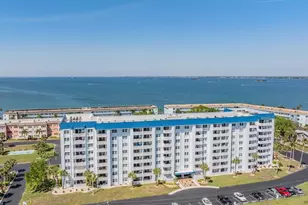 7 Elgin Pl, Dunedin, FL 34698 - Photo 47