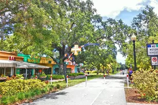 7 Elgin Pl, Dunedin, FL 34698 - Photo 63