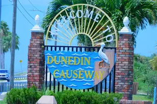 7 Elgin Pl, Dunedin, FL 34698 - Photo 57