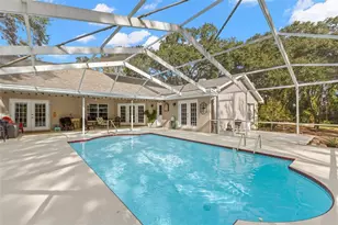 3734 Thornbush Ln, New Port Richey, FL 34655 - Photo 31