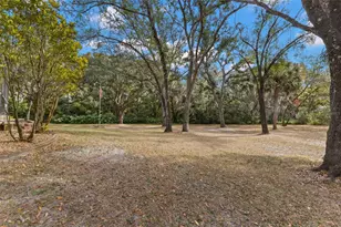 3734 Thornbush Ln, New Port Richey, FL 34655 - Photo 35