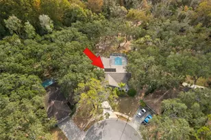 3734 Thornbush Ln, New Port Richey, FL 34655 - Photo 41