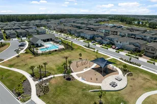 17714 Everlong Dr, Land O Lakes, FL 34638 - Photo 57