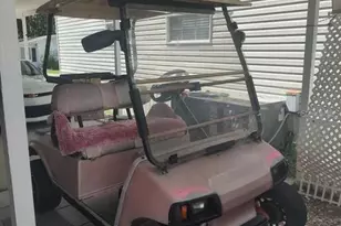 129 Woods N Water Dr, Mount Dora, FL 32757 - Photo 9