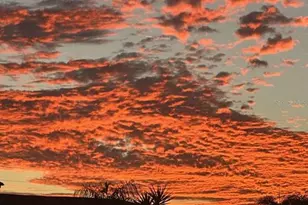 21341 Edgewater Dr, Port Charlotte, FL 33952 - Photo 27