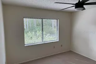 612 Baldwin Ave, Safety Harbor, FL 34695 - Photo 21