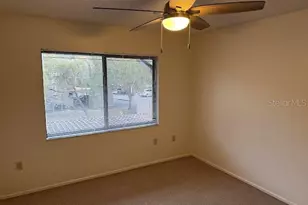 612 Baldwin Ave, Safety Harbor, FL 34695 - Photo 19