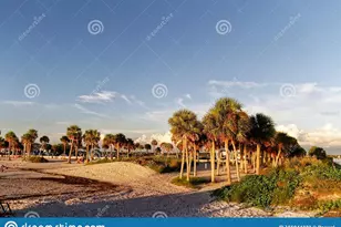 1716 Golf View Dr, Tarpon Springs, FL 34689 - Photo 29