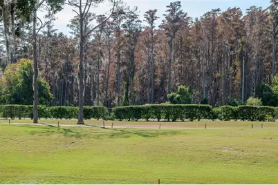 9500 Green Needle Drive, New Port Richey, FL 34655 - Photo 19