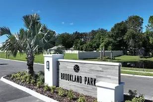 2567 Driftwood St, Auburndale, FL 33823 - Photo 17