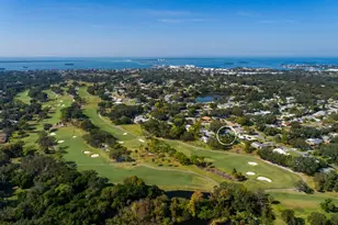 2309 Jones Ct, Dunedin, FL 34698 - Photo 45