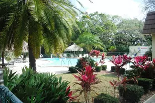 91 Redwood Dr, Safety Harbor, FL 34695 - Photo 31