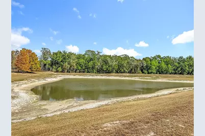 13913 Bee Tree Court, Hudson, FL 34669 - Photo 43