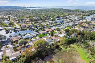 369 Westwinds Dr, Palm Harbor, FL 34683 - Photo 43