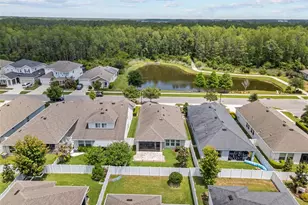 15180 Renaissance Ave, Odessa, FL 33556 - Photo 25