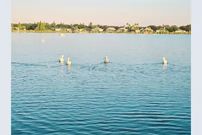 10118 Cannon Drive, Riverview, FL 33578 - Photo 87