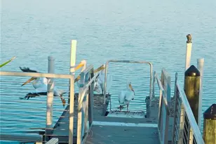 10118 Cannon Dr, Riverview, FL 33578 - Photo 85